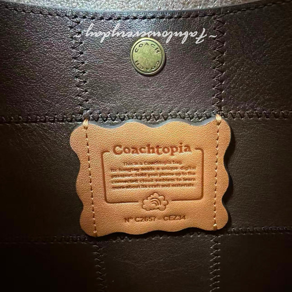 Coach Coachtopia Alter/Ego Brooklyn Shoulder Bag 28 Maple/Stone Multi CEZ34 NWT - Picture 10 of 10